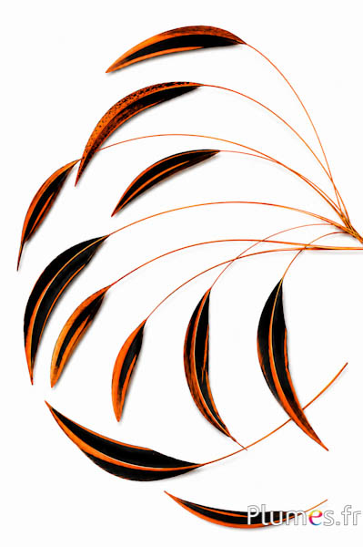 Anatra Mandarin - 15-20 cm - arancione